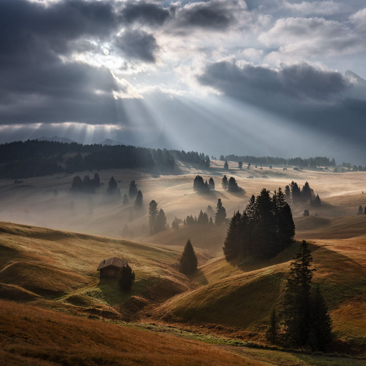 Image by Martin Rak