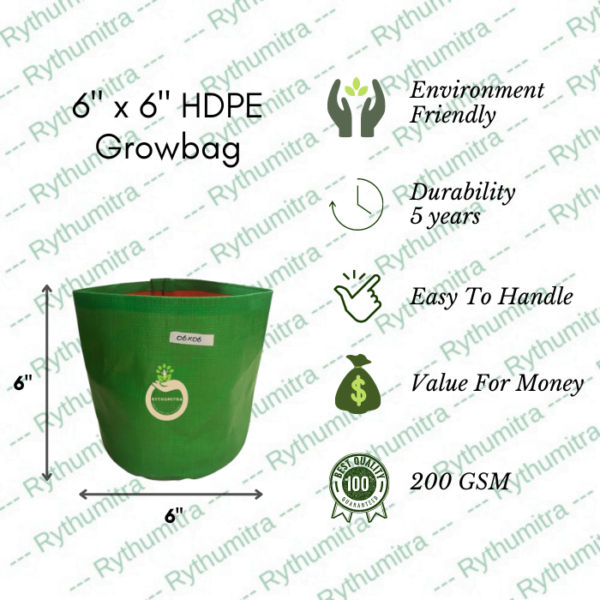 6x6 HDPE Bag for Saplings and Gifting