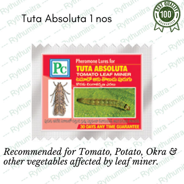 Tuta Absoluta Pheromone Trap Lure For Tomatoes (Catch Pests)