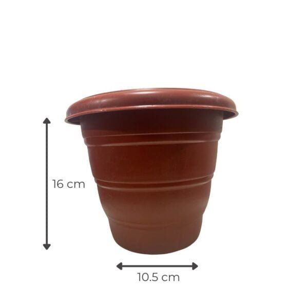 Terracotta Pot 8inch
