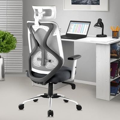 ASTRIDE Ergofit Ergonomic Office Chair for Home [Grey-White]