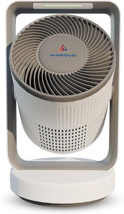 Pure Air PA4 2in1 Wozoyo Air Purifier+Fan for Home&Office,4-in-1 Filter
