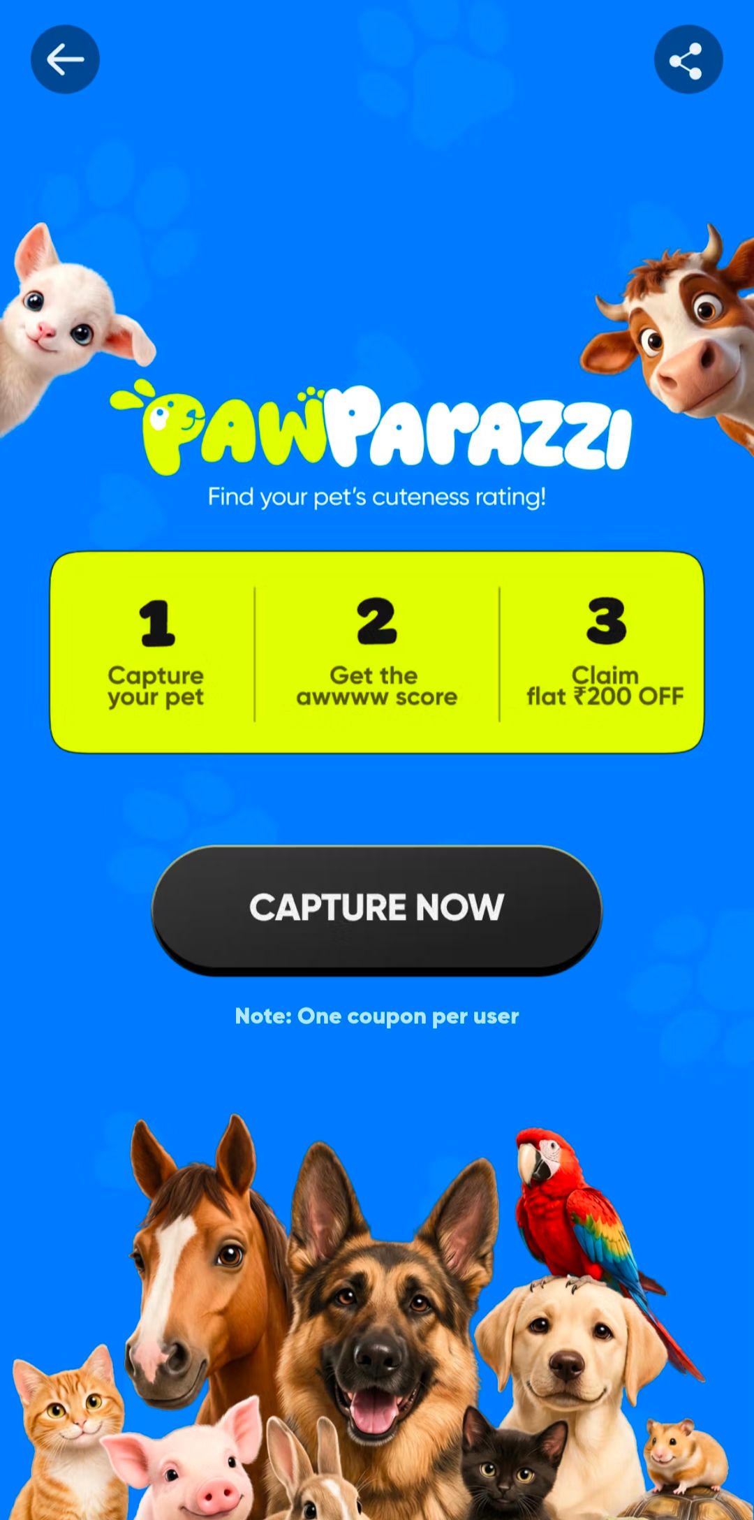 Swiggy pawparazzi - 200rs flat off coupon