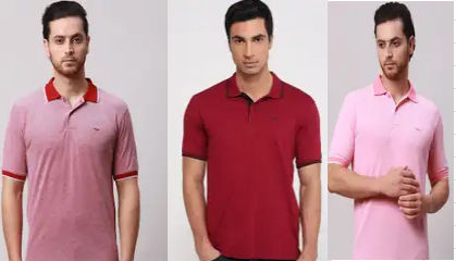 Park Avenue SPYKAR Raymond Tees up to 70 % off & extra 10 % off