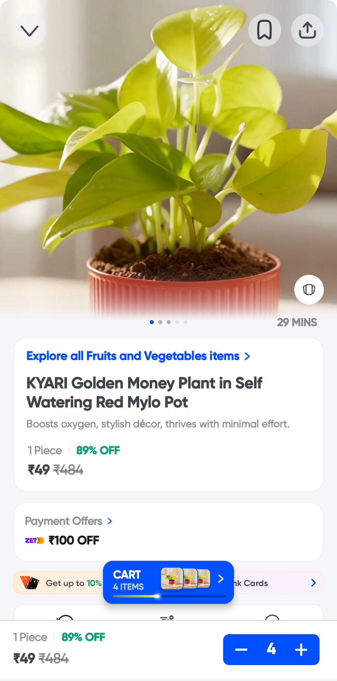 plant