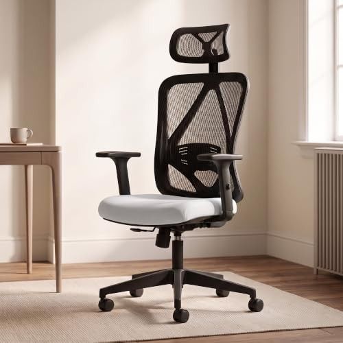 DROGO Ergonaut Ergonomic Office Chair for Work from Home | Computer Chair with 2D Headrest, Armrests & Adjustable Lumbar Support | Breathable Mesh with 120Β° Recline, 1-Year Warranty (Black & Grey)