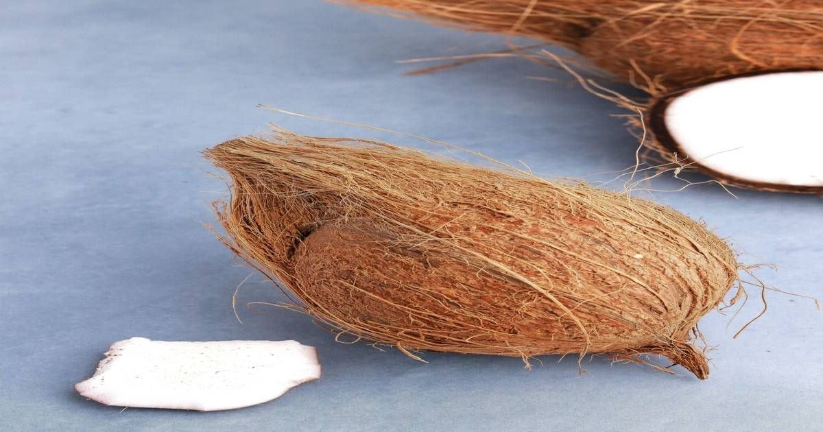 coconut 1 pc
