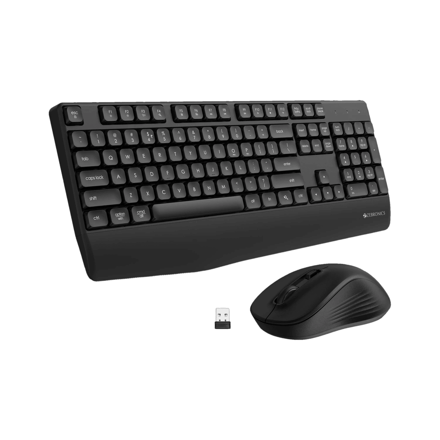 ZEBRONICS Companion 202 Wireless Standard Desktop Keyboard