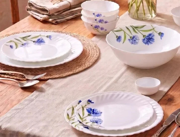 La Opala Novo Opalware Dinner Set, 10 Pcs for Family of 2, Floral Fountain Microwave & Dishwasher Safe, Bone-Ash Free, Plates & Bowls for Dining & Gifting, Break-Resistant, Lightweight, Made in India