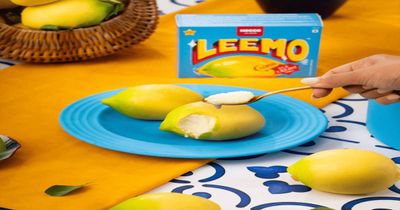 Instamart - Hocco Leemo Ice Cream