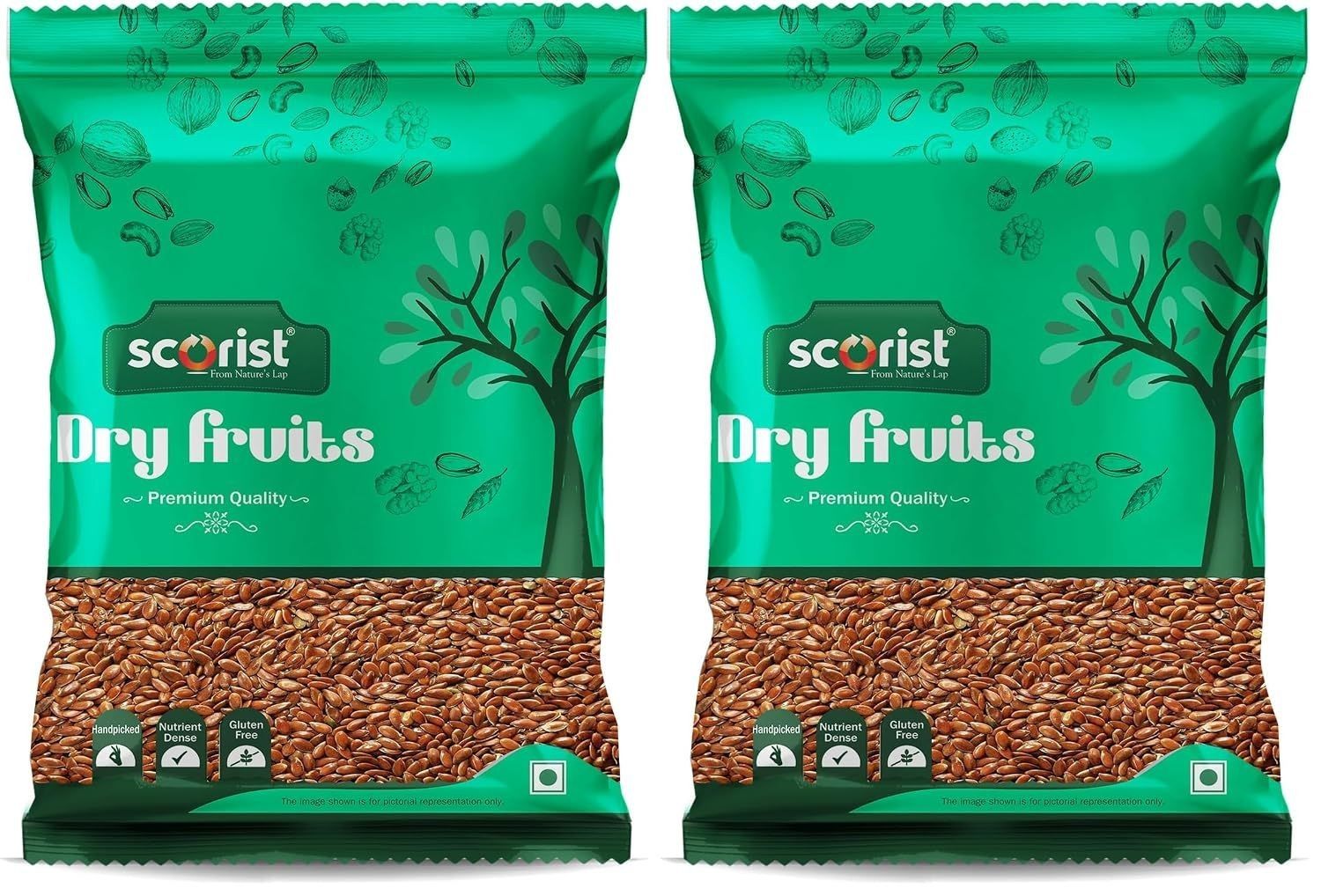 Scorist Premium Flax Seeds 500g | Alsi Seeds | Flax Seeds for Hair Growth | Raw Seeds for Eating | Source of Iron & Dietary Fibre | Rich in Protein (Pack of 2)