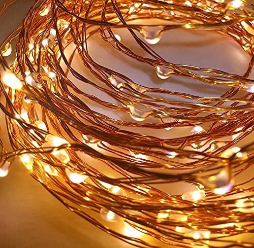Desidiya 3AA Battery Powered Copper String Decorative LED Fairy Lights Warm White, 5 Meters, 50 LED's (Pack of 1)