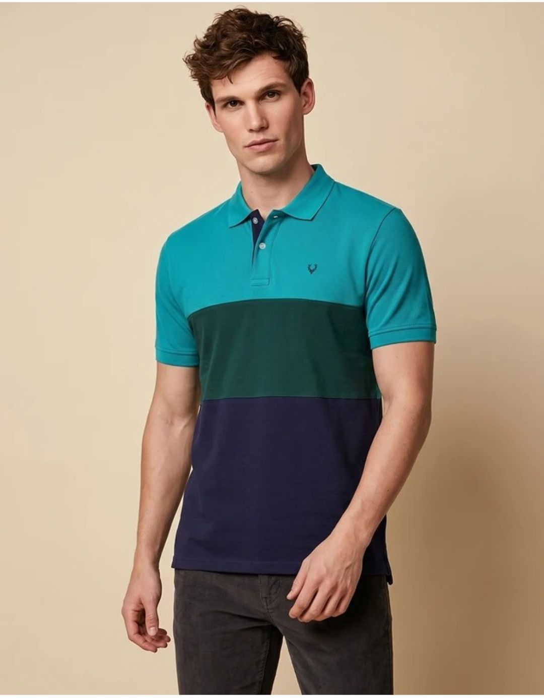 Allen solly Men Colorblock Polo Neck (M)