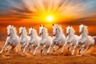 Seven White Horses Running Vastu Vinyl Sticker, 13x19 inch