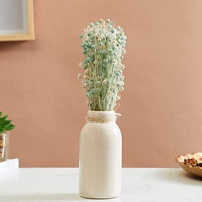 Home Centre Corsica Eden Tishi Artificial Flower with Ceramic Pot [30% coupon discount]