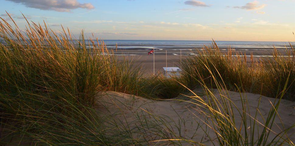 can dogs go camber beach