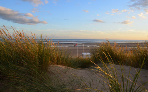 Our favourite beaches in East Sussex
