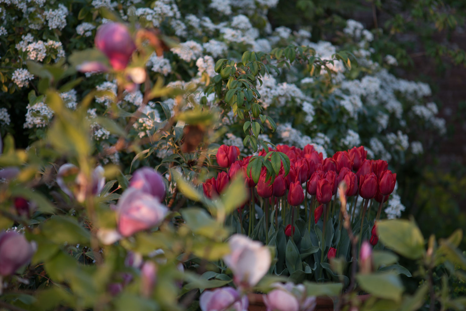 Great Dixter_6235.jpg