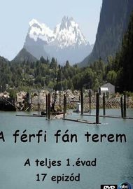 A férfi fán terem