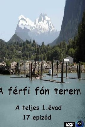 A férfi fán terem