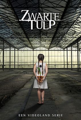 Fekete tulipán