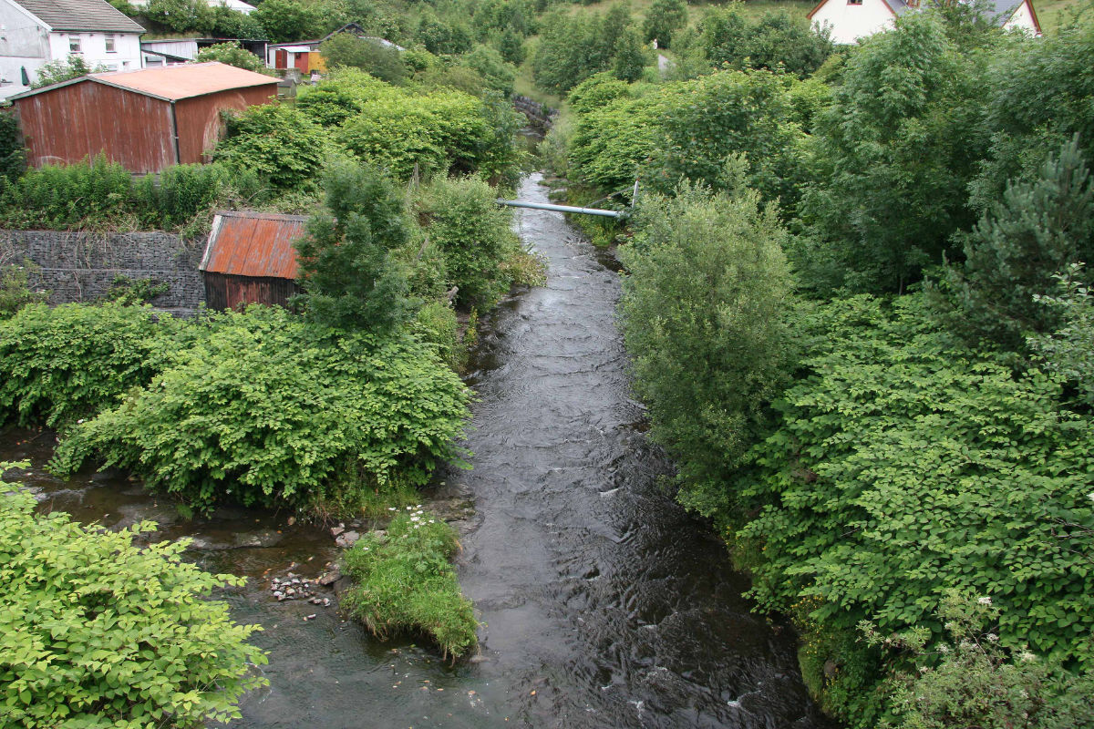 a river