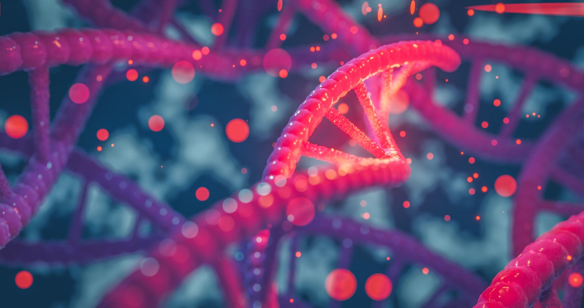 strand of dna