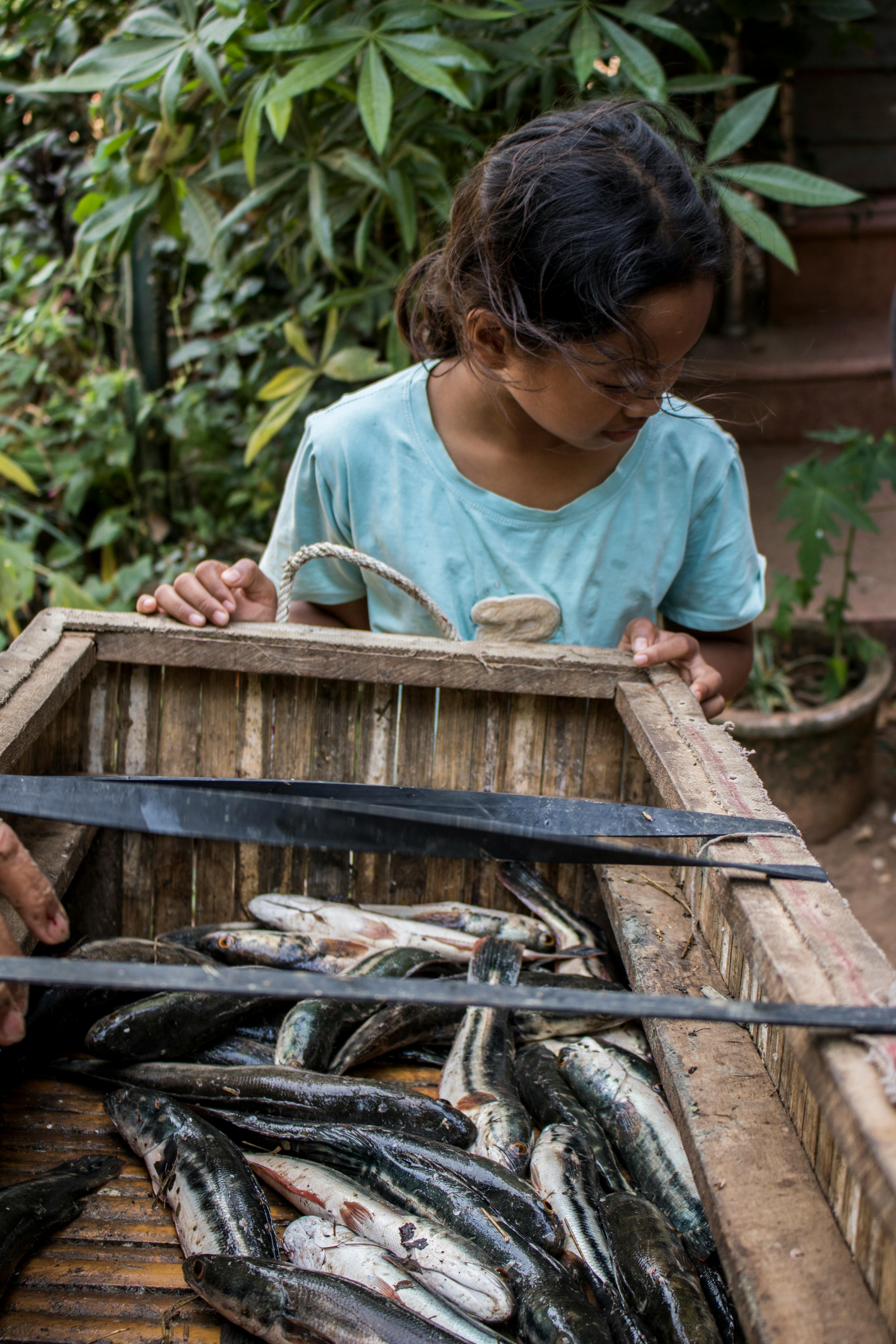 Cara Ternak Lele di Kolam Terpal untuk Pemula Minim Lahan