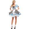 Alice In Wonderland Costume For Women Girls Blue Sweet Lolita Maid fantasy