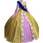 Princess Anastasia Fancy Cosplay Dress