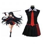 Akame ga Kill Night Raid Akame Dress Cosplay Costume