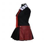 Akame ga Kill Night Raid Akame Dress Cosplay Costume