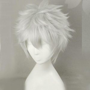 Hunter x Hunter Killua Zoldyck Wig Short Men Silver Shaggy Cosplay Wig