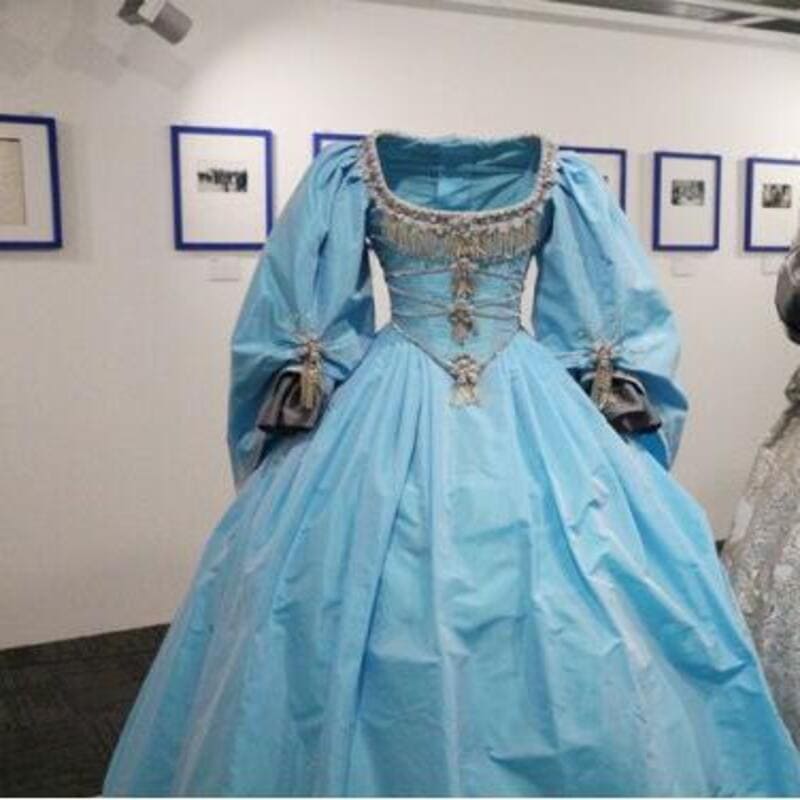 Donkey Skin Princess Ball Gown Quinceanera Dresses Medieval Royal Family Princess Cosplay Costume