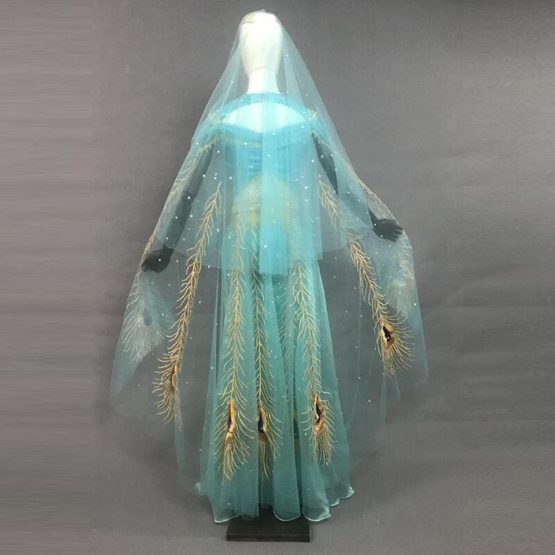 open lace back dress Lito Angels Kids Girls Jasmine Princess Dress Costume Top with Peacock Cape  and Pants Set, Size 8-9 Years, Large : Amazon.com.be: Toys main image 1