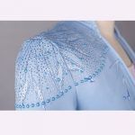 H5f981Movie White Snow Princess Adult Elsa Dress Ice Queen Anna Blue Cosplay Costumes74e020747a18e57c6d4ad63915d5.jpg