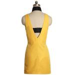 Pokemon Elesa Cosplay Costume Dress (1)
