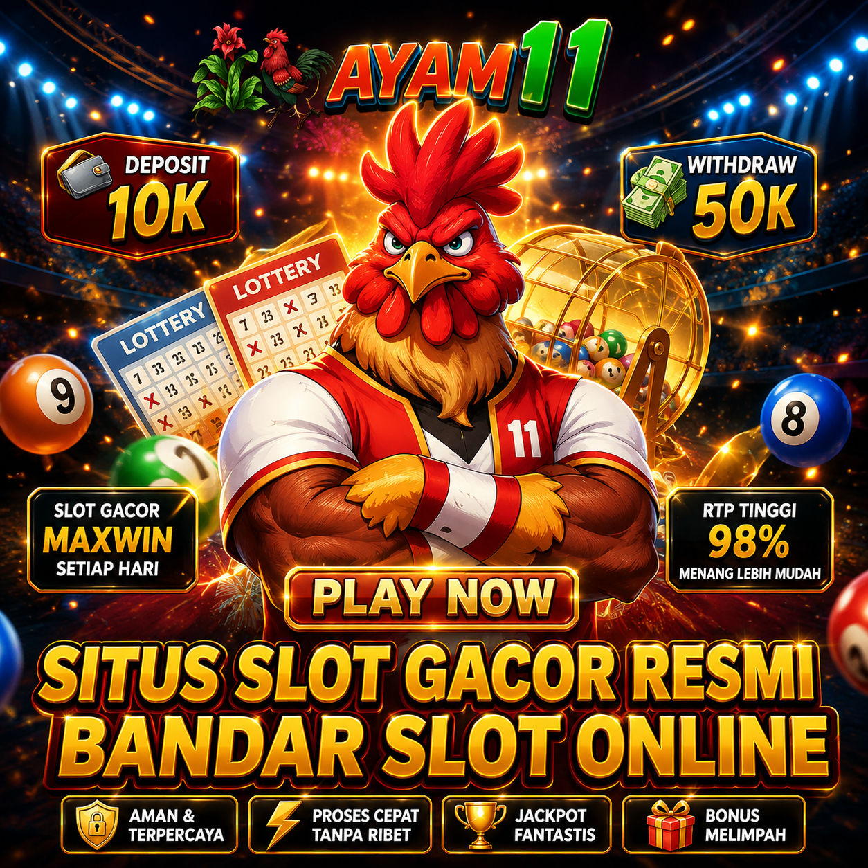 AYAM11