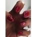 gel polish QLZ 113 Very Berry