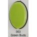 uv gel nail polish BMG 053 Green Buds