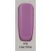 gel nail polish Kaga 015 Lilac Wine