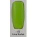 gel nail polish Kaga 122 Lime Sorbet