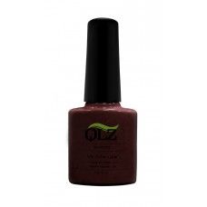 gel polish QLZ 013 Plum Love