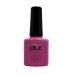 gel polish QLZ 024 Berrylicious