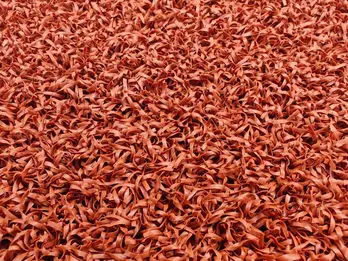 Karpet Lapangan Padel Warna Terracotta
