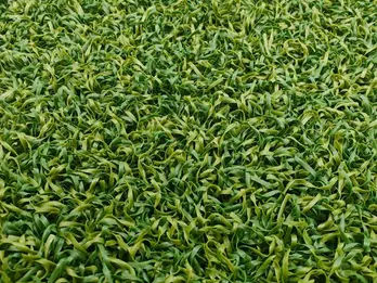 Turf Papangan Padel Standar dengan warna hijau sedang dan tekstur serat sedang untuk penggunaan umum