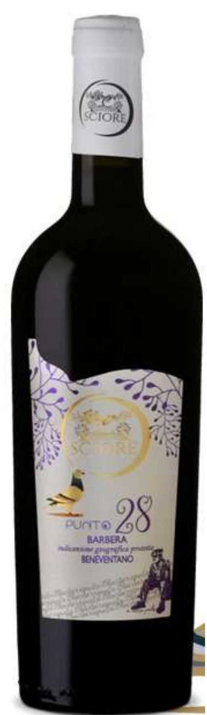 Barbera Beneventano I.G.T bottle
