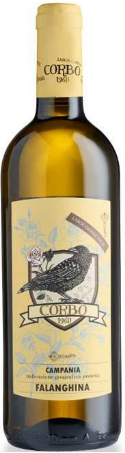 Corbo Falanghina I.G.P.