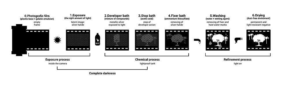 Diagram of the six steps of developing a film, from exposure through to drying