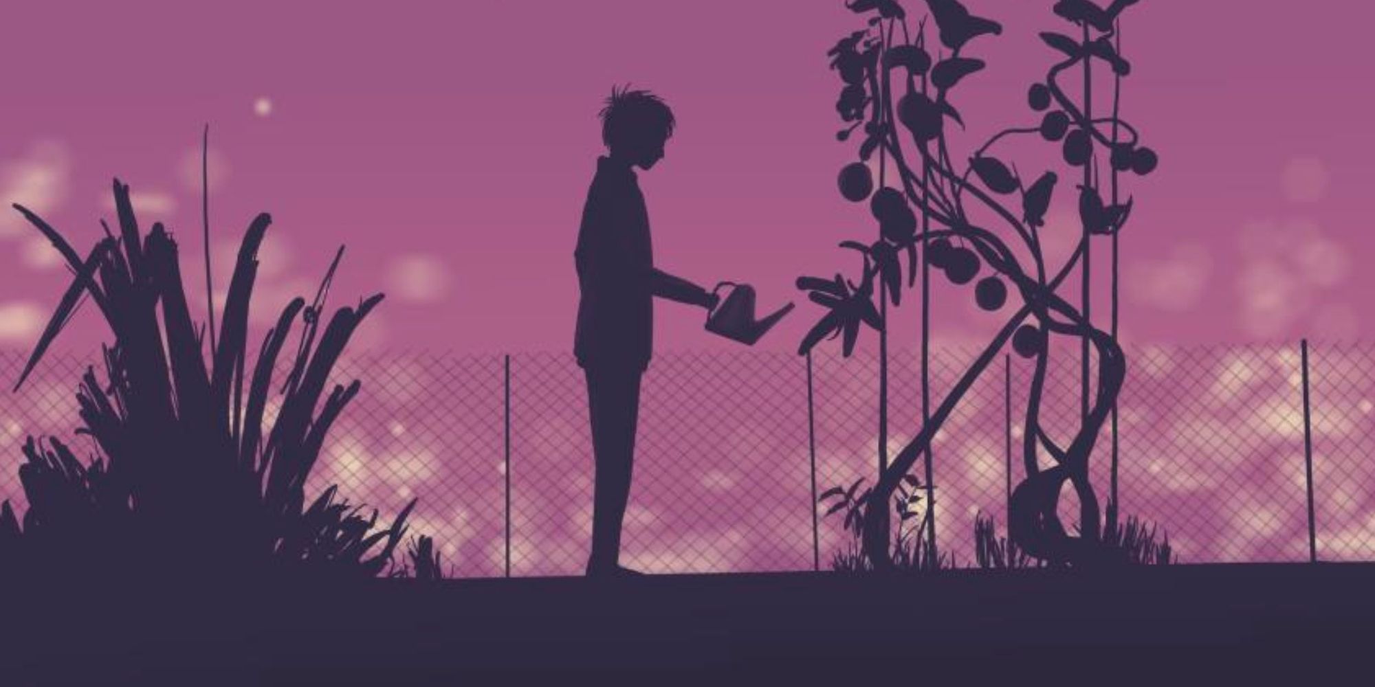 A man is watering a tomato plant in a garden at night